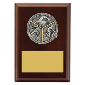 Peak-Plaque-Triathlon-Trophies 