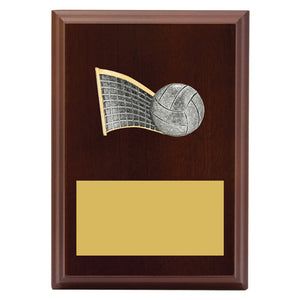 Peak-Plaque-Volleyball-Trophies 