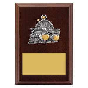 Peak-Plaque-Swim-Trophies 