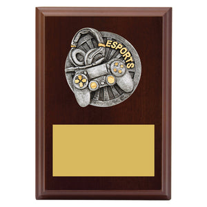 Peak-Plaque-Esports-Trophies 