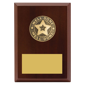 Well Done Plaque Novelty Trophies