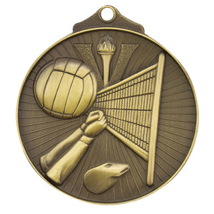 Volleyball-Medal
