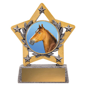 Mini_Star_Colour_Horse_Trophies 