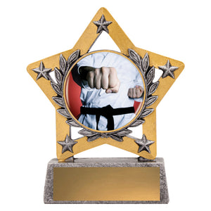 Mini_Star_Colour_Martial_Arts_Trophies