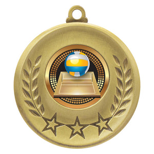 Laurel-Medal-Volleyball 