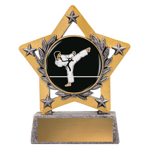 Mini_Star_Colour_Karate_Trophies