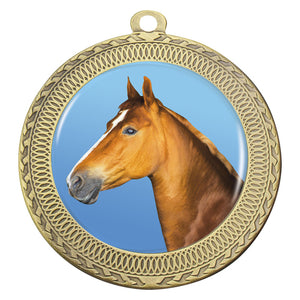 Ovation_Horse_Medals