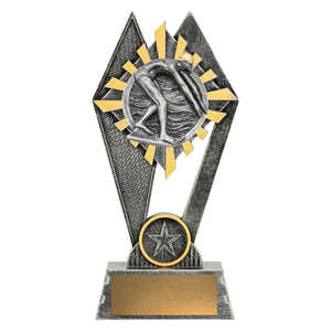Peak-Male-Swim-Trophies 