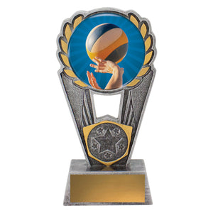 Volleyball-Polaris-Colour-Trophies 