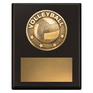 Challenge-Plaque-Volleyball-Trophies 