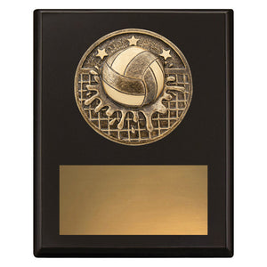 Challenge-Plaque-Water-Polo-Trophies 