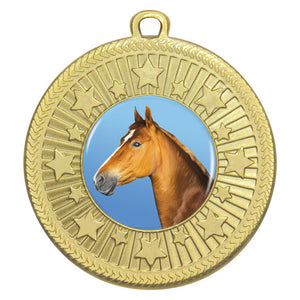 Horse_Starlight_Medals
