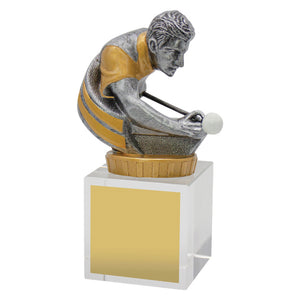Pool_/_Snooker_Budget_Crystal_ Trophies 