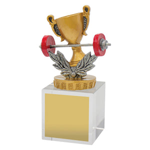 Fitness-Budget-Crystal-Trophies 