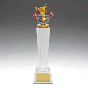 Gym_Crystal_Fitness_Trophies 