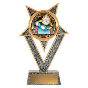 Ventura-Swim-Trophies 