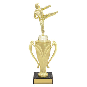 Champion_Cups_Martial_Arts_Trophies