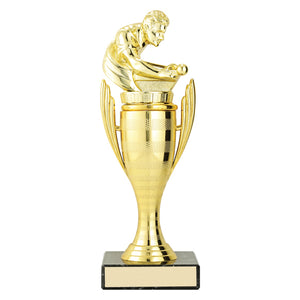 Guardian_Series_Pool_Snooker_Trophies 
