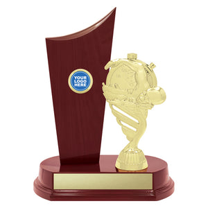 Vintage-Crest-Swim-Trophies 