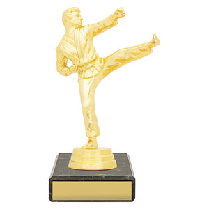 Figure_Trophy_Male_Karate_Trophies