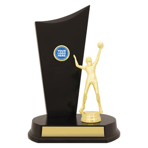 Male-Volleyball-Timber-Crest-Trophies