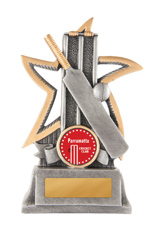 Silver Star - Cricket trophy - eagle rise sports