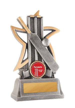 Silver Star - Cricket trophy - eagle rise sports