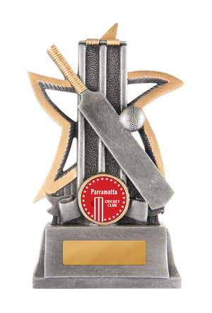 Silver Star - Cricket trophy - eagle rise sports