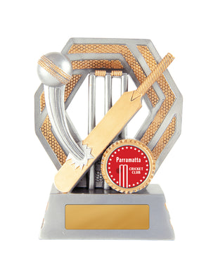 Titan-Cricket trophy - eagle rise sports