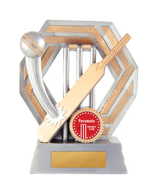 Titan-Cricket trophy - eagle rise sports