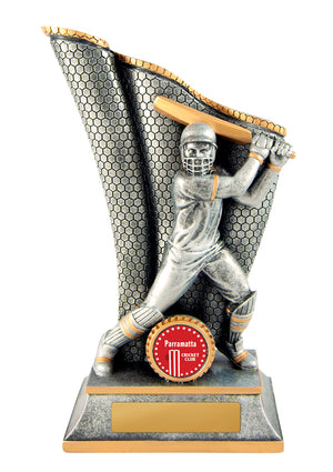 Wave Batsman Male trophy - eagle rise sports