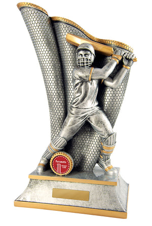 Wave Batsman Male trophy - eagle rise sports