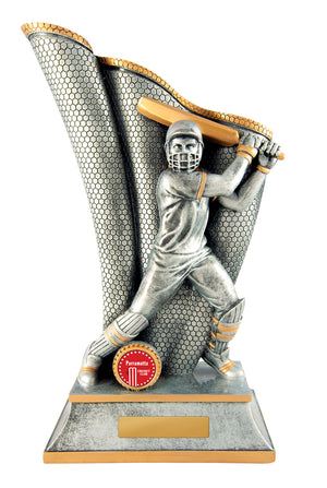 Wave Batsman Male trophy - eagle rise sports