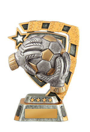 EziRez FIN Series trophy - eagle rise sports