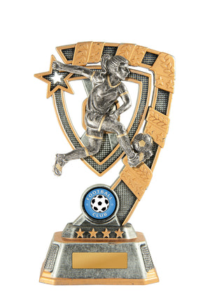 EziRez FIN Series trophy - eagle rise sports