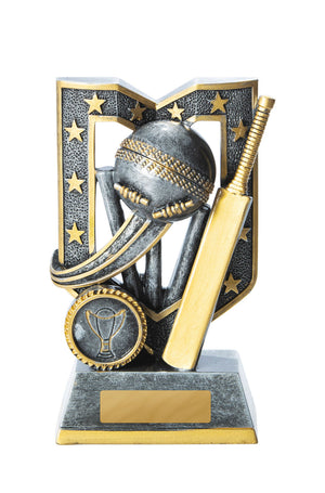 Aegis Series-Cricket trophy - eagle rise sports