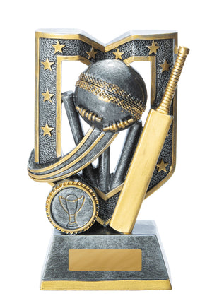 Aegis Series-Cricket trophy - eagle rise sports