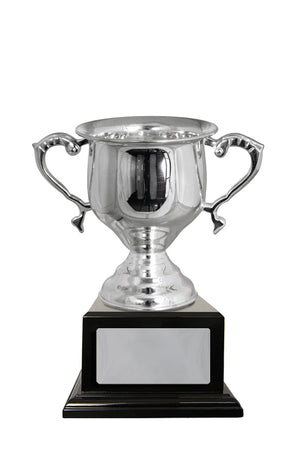 Silver Plated cup - eagle rise sports