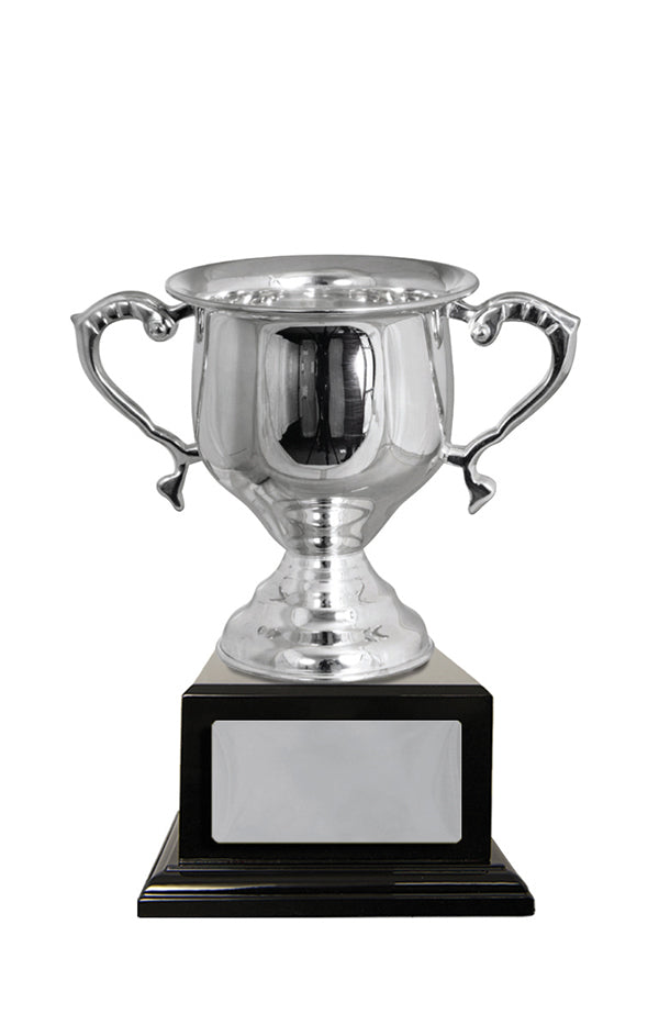 Silver Plated Cup