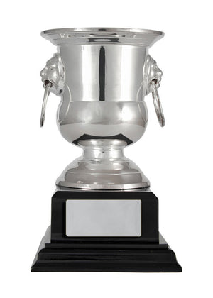 Silver Plated cup - eagle rise sports