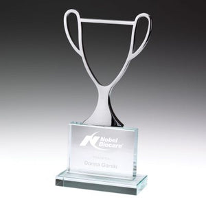 Champion Award Glass
