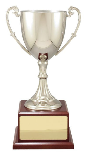 Classic Nickle Plated Cup - eagle rise sports