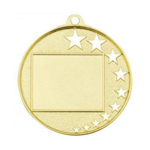 Cricket Stars medal