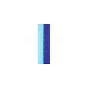 Dark Blue / Light Blue Ribbon - eagle rise sports