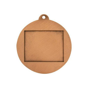 Econo Cricket medal - eagle rise sports