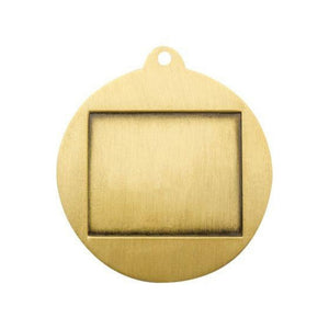 Econo Cricket medal - eagle rise sports