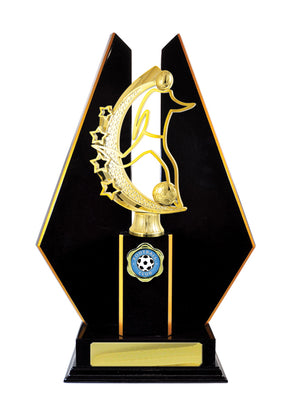 Timber Buildup Football Male trophy -eagle rise sports