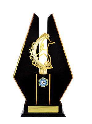 Timber Buildup Football Male trophy -eagle rise sports