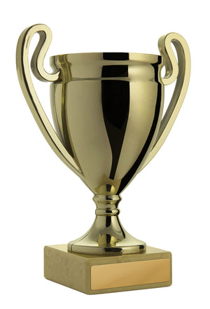 Gold cup - eagle rise sports