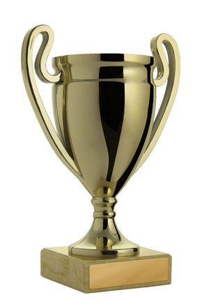 Gold cup - eagle rise sports
